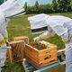 thumbnail image 3 of Kit inicial para colmena MayBee de 8 cuadros, 100% cera de abeja, 3 of 9
