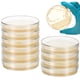 thumbnail image 2 of Placas de Agar Tablzone 7 cm 10 Unidades, 2 of 9