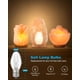 thumbnail image 3 of Bombillas OuuKoo Salt Lamp de 15 W para calentador de cera Scentsy, paquete de 15, 3 of 9