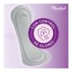 thumbnail image 4 of Protectores Femeninos Plenitud Diarios Largo para Escapes de Orina Leves, 24 Un, 4 of 7