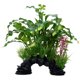 thumbnail image 1 of Planta Artificial Fluval Curly Aponogeton 25,5 cm, 1 of 1