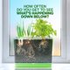 thumbnail image 2 of Root Viewer Kit Dan&Darci Grow Plant Science, juguete para niños de 4 a 8 años, 2 of 9