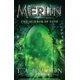 thumbnail image 1 of El Espejo del Destino: Libro 4 (Saga Merlín), 1 of 1