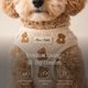 thumbnail image 5 of Conjunto de Arnés y Correa para Perro MAISON MALIBU Talla Media Diseño Teddy, 5 of 8
