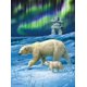 thumbnail image 1 of Rompecabezas Buffalo Games: Northern Lights Bears, 1000 unidades, 1 of 6