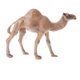 thumbnail image 1 of Figuras De Modelos De Animales Realistas, Juguete Educativo Para Ni?os, Regalo, Dromedario, 1 of 5