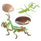 thumbnail image 1 of Naturaleza Plástico Ciclo De Vida De Mantis Crecimiento De Insectos Juguetes De Aprendizaje Juego De Roles, 1 of 5