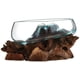 thumbnail image 2 of Terrarium Cohasset de vidrio fundido #658 -20, boca ancha, 20 cm, 2 of 4