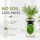 thumbnail image 5 of Kit de cultivo hidropónico de eneldo Environet para interior, 5 of 8