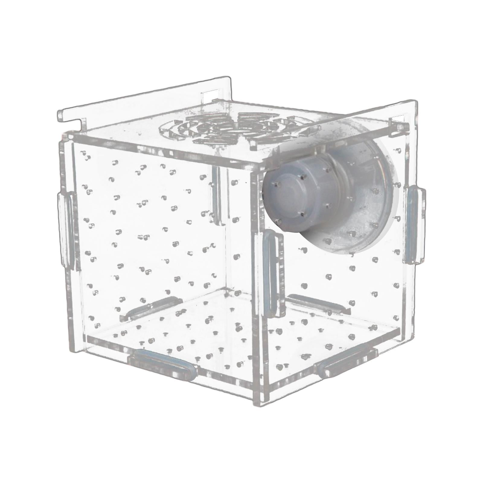 Caja De Cría De Peces De Acuario, Accesorio De Acuario Transparente Para Pez Payaso Recién Nacido, 8cm X 8cm X 8cm