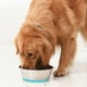 thumbnail image 4 of Cuenco de acero inoxidable para perros y gatos, antideslizante, con base de goma antiderrames., 4 of 5