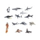 thumbnail image 4 of 13 Uds. De Figuras De Animales Marinos Para Regalo De Cumplea?os, Juguete Cognitivo, Ayuda Didáctica, 4 of 5