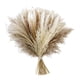 thumbnail image 1 of Ca?a De Ramo De Hierba De Pampa Natural Para Escritorio Fotografiar Arreglos Florales Estilo F, 1 of 5