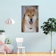 thumbnail image 4 of Cuadro Decorativo Shiba Inu Enmarcado 40x60 cm, 4 of 6