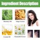 thumbnail image 3 of Aceite de Romero para Crecimiento del Cabello 60ml con Peine, 3 of 3