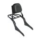thumbnail image 1 of Sissy Bar De Motocicleta Desmontable Para Honda Rebel Cm300 Cm500 Accesorios, 1 of 5