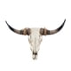 thumbnail image 2 of Cabezas De Animales Decoración De Pared Gabinete Dormitorio Longhorn Vaca Cráneo Escultura De Pared, 2 of 5