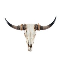 Magideal - Figura Decorativa De Cabeza De Animal Para Decoración De Pared, Colgante De Cuerno Largo Artificial, Escultura De Pared De Cráneo De , Armario, Ch Cuerno Marrón