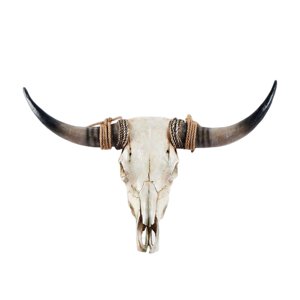 Magideal - Figura Decorativa De Cabeza De Animal Para Decoración De Pared, Colgante De Cuerno Largo Artificial, Escultura De Pared De Cráneo De , Armario, Ch Cuerno Marrón