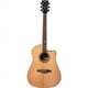 thumbnail image 1 of Guitarra Electroacustica EKO NXT METAL D100CE Natural, 1 of 2
