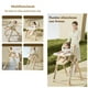 thumbnail image 5 of Silla De Comer Columpio 2 En 1 Con Protector Crema LuBabycas, 5 of 8