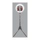 thumbnail image 3 of Aro de luz 12 VIVRL1263KIT, 3 of 4