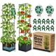 thumbnail image 1 of Growia Pack de 2 cajas para cultivar tomates con enrejado de 142 cm, 1 of 8