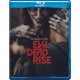 thumbnail image 1 of Blu-ray Evil Dead Rise, 1 of 4