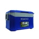 thumbnail image 2 of Nevera Igloo 47L, 2 of 4