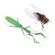 thumbnail image 3 of 2 X Vivid Insect Animal Estatua Colgante De Pared Art Garden Decor Mantis & Cicada, 3 of 5