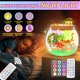 thumbnail image 5 of Kit de Terrario Luminoso de Dinosaurios Gifmore DIY 4‑12 años, 5 of 6
