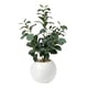 thumbnail image 1 of Planta Artificial Ficus Decorativa Maceta Decoracion Hogar crema, 1 of 9