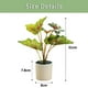 thumbnail image 2 of Plantas artificiales, plantas artificiales en maceta, decoración del hogar, 2 of 5