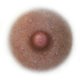 thumbnail image 1 of Tatuaje temporal Restorative Ink 3,8 cm Fitzpatrick #5 – 1 par, 1 of 9