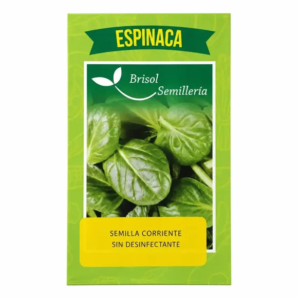 Semillas Espinaca Monstruosa de Viroflay Brisol