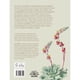 thumbnail image 4 of Cultivar cactus y suculentas, 4 of 5