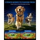 thumbnail image 3 of Cerca inalámbrica GPS para perros Qorava – 3 modos – Impermeable, 3 of 9