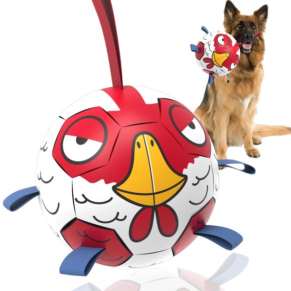 Juguete para Perro QDAN Pelota de Fútbol 20 cm para Perros Grandes