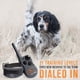 thumbnail image 2 of Collar para perros de entrenamiento remoto SportDog FieldTrainer 425XS, 2 of 8