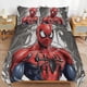 thumbnail image 2 of Juego De Ropa De Cama Spidean Para Niños Hombres Y Mujeres Tamaño Matrimonial Edredón Funda De Edredón Y Fundas De Almohada, 2 of 3