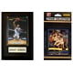 thumbnail image 1 of Paquete de Fanáticos C&I Collectables 2010 Donruss Set de Equipo, 1 of 1