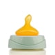 thumbnail image 2 of Mamadera 150 Ml Tetina Anatómica Latex 0-6m Bunny/verde, 2 of 3