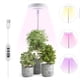 thumbnail image 1 of 1 Set, Plant Grow Light, Full Spectrum LED Grow Lights For Indoor Plant, 3 Colors Halo Grow Lights, Height Adjustable Growing Lamp, Automatic Timer, Waterproof Grow Light, Idea For Small Plant Light, 1 of 3