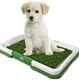 thumbnail image 1 of Baño Ecológico Perro Baño Mascotas Baño Ecológico, 1 of 1