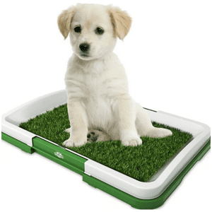Genérico - Baño Ecológico Perro Baño Mascotas Baño Ecológico