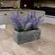 thumbnail image 5 of Planta Artificial Morada Macetero Ceramica Rectangular Gris, 5 of 7