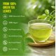 thumbnail image 5 of Bolsitas de té verde FRESHDRINKUS Premium 175 sin cafeína, 5 of 9
