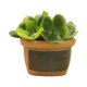 thumbnail image 2 of 1/12 Casa De Mu?ecas Resina Mini Bonsai Suministros De Paisaje Para Decoración De Balcón Estilo D, 2 of 5