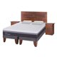 thumbnail image 2 of Cama Europea Europea Ortopedic Advance 2P Bd Milan Alm 2 Plaza Base Dividida, 2 of 5