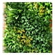 thumbnail image 2 of Jardin Vertical Multielemento, 2 of 3